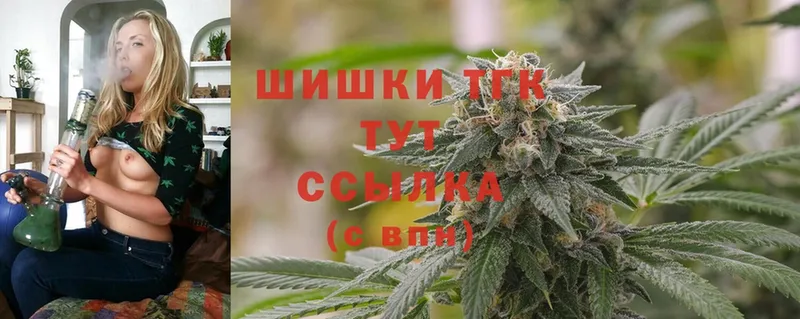 закладка  Котлас  Шишки марихуана SATIVA & INDICA 